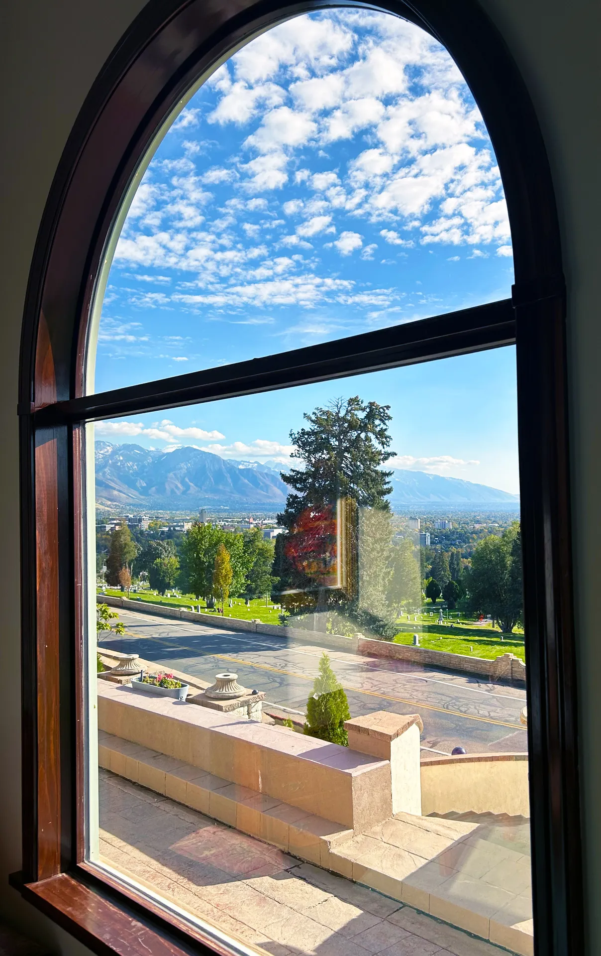 Sunroom Window View