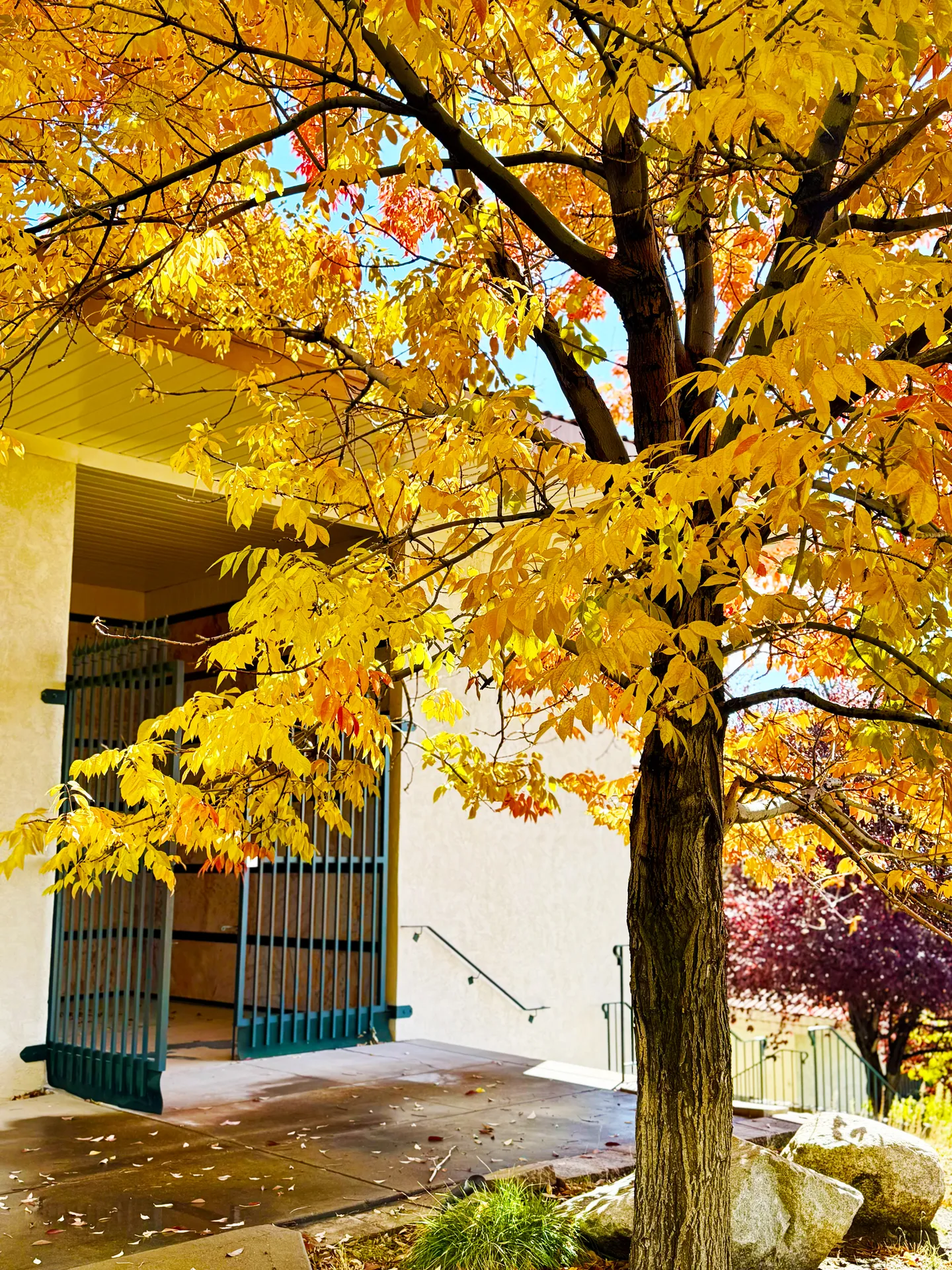 Pavillion Fall Beautiful