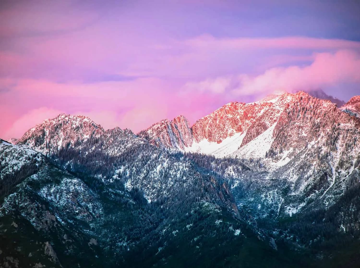 services in northern Utah